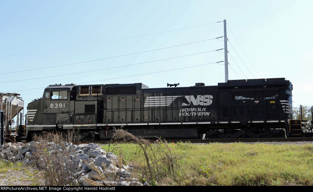 NS 8391